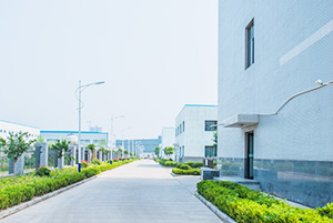 自公司成立以來，以振興和發(fā)展我國貴金屬催化劑和催化工藝為己任，已研究、開發(fā)出了活性炭負載，氧化物負載，有機物負載貴金屬催化劑，均相催化劑，手性催化劑，專用催化劑等上百種催化劑，以及一百多種催化合成/反應工藝技術。